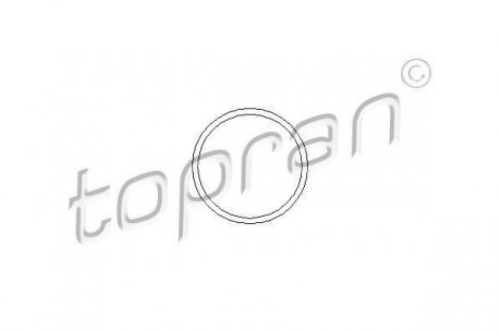 Прокладка водяної помпи Topran 202290 (фото 1)