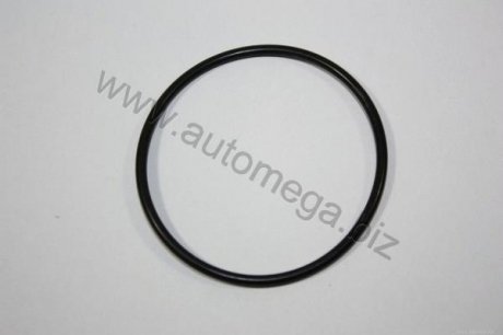 Прокладка термостату [DPH] Automega 190069620 (фото 1)