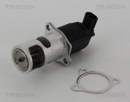 Клапан повернення відпрацьованих газів двигуна TRISCAN 8813 25005 (фото 1)