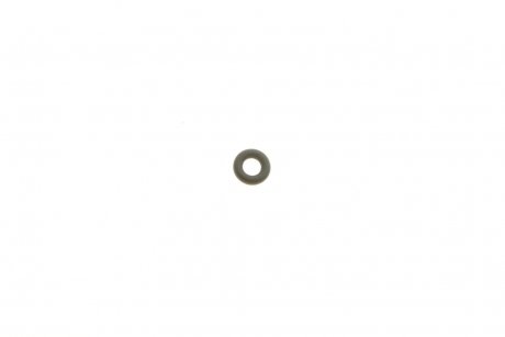 Кольцо резиновое Bosch F00VP01003 (фото 1)