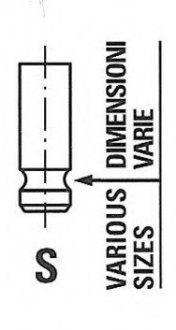 Клапан головки блока цилиндров Freccia R6419/SNT (фото 1)