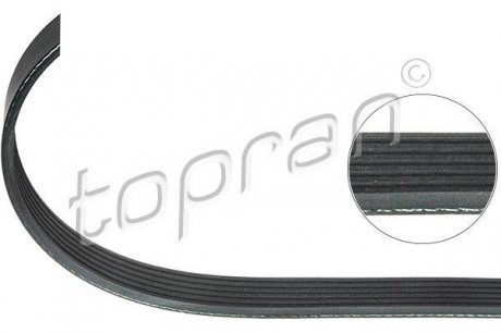 Ремень поликлиновый BMW/1/3/6 2.5/3.0 04-,Opel Vectra 3.2 V6 02- Topran 207 889 (фото 1)