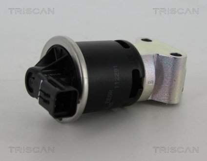 Клапан повернення відпрацьованих газів двигуна TRISCAN 8813 21008