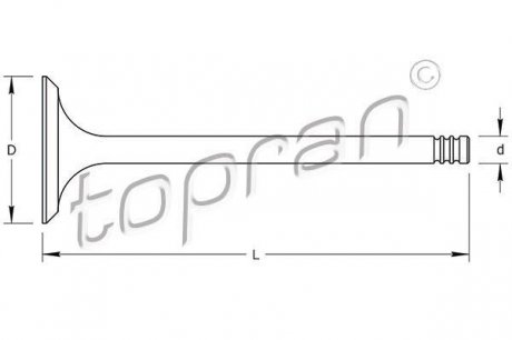 Клапан впускний Audi 80/100 2.0 16V 93-, A6 94- Topran 110 204