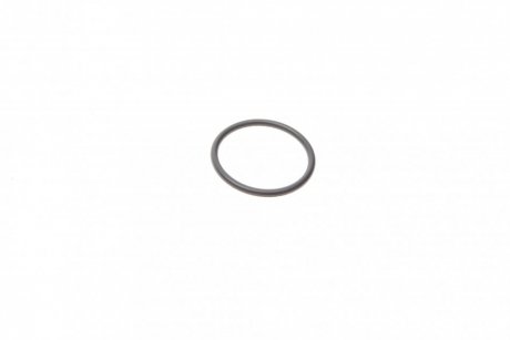 Уплотнительное кольцо Bosch F00VC38042