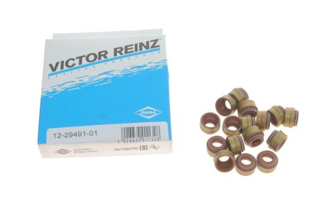 Сальник клапана REINZ Victor Reinz 12-29491-01