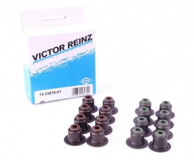 Сальник клапана VICT_REINZ Victor Reinz 12-33876-01