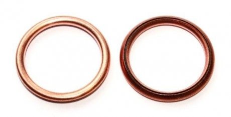 Уплотнительное кольцо, резьбовая пробка Elring 813.028 (фото 1)