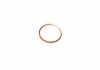Уплотнительное кольцо, резьбовая пробка Victor Reinz 41-72065-30 (фото 2)