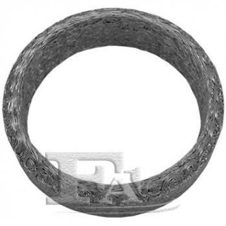 Уплотнительное кольцо (труба выхлопного газа) FI FA1 101-960