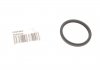 Уплотнительное кольцо Mercedes 0229978045 (фото 1)
