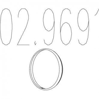 Монтажное кольцо выхлопной системы MTS 02.9691 (фото 1)