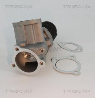 Клапан повернення відпрацьованих газів двигуна TRISCAN 8813 10003 (фото 1)