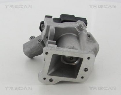 Клапан возврата отработавших газов двигателя TRISCAN 8813 10007 (фото 1)