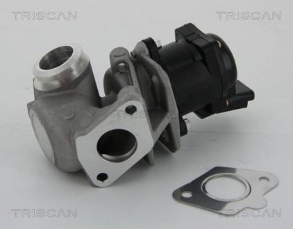 Клапан повернення відпрацьованих газів двигуна TRISCAN 8813 10010 (фото 1)