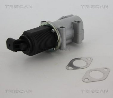 Клапан возврата отработавших газов двигателя TRISCAN 8813 10015 (фото 1)