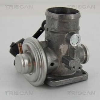 Клапан возврата отработавших газов двигателя TRISCAN 8813 29300 (фото 1)
