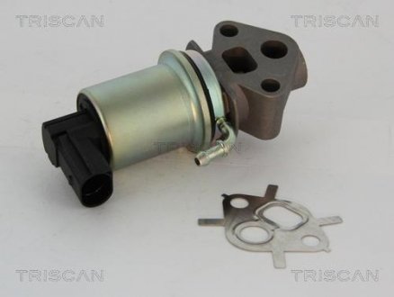 Клапан возврата отработавших газов двигателя TRISCAN 8813 29007 (фото 1)