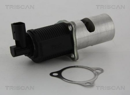 Клапан повернення відпрацьованих газів двигуна TRISCAN 8813 24055