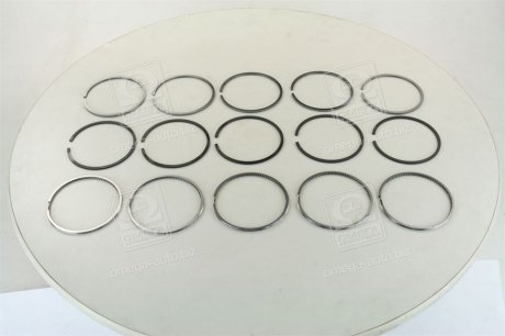 Кольца поршневые VAG 5 Cyl. 81,00 2,5 x 2,0 x 3,00 mm SM MVI 795041005 (фото 1)