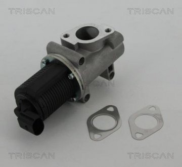 Клапан повернення відпрацьованих газів двигуна TRISCAN 8813 10005 (фото 1)