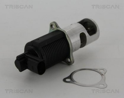 Клапан повернення відпрацьованих газів двигуна TRISCAN 8813 25038