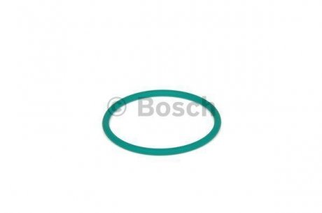 Уплотнительное кольцо Bosch 2700210057