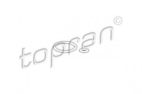 Деталь уприскування HP Topran 100 736