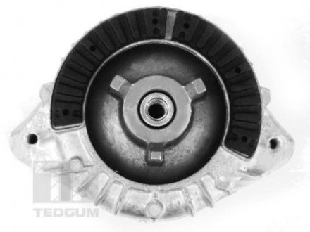 Подушка двигуна Tedgum 00418473 (фото 1)