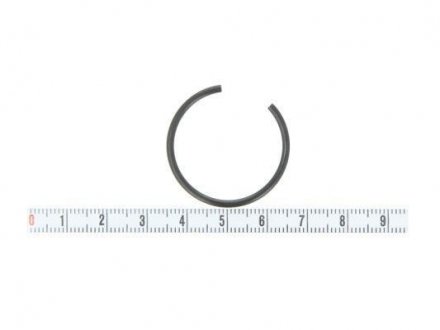 Предохранительное кольцо PASCAL CIR G1F05PC (фото 1)