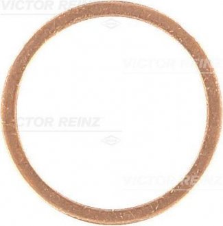 Кольцо уплотнительное Victor Reinz 41-70231-00 (фото 1)